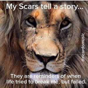 Meet your Posher, Joel